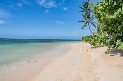 a beach with a palm tree and the ocean at Villa 1 min walk from the beach in Las Terranas in El Limón