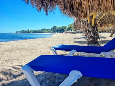 a blue chair on a beach with a straw umbrella at 2-Bedroom Beach Apartment 50m from the Sea and Pool in San Felipe de Puerto Plata