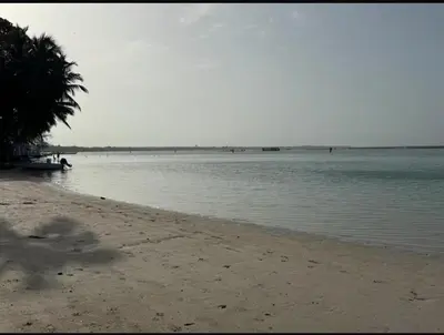 a beach with a palm tree and a body of water at Majestic 2Bd Ocean view Apartment Boca Del Mar III in Boca Chica