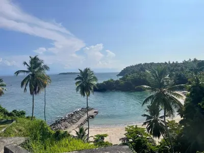 a beach with palm trees and the ocean at Spectacular Ocean View 1-Bedroom Condo, Vista Mare, Samana, DR in Villa Ramfis