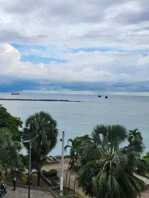 a view of the ocean with palm trees and ships at Hotel La Llave Del Mar in Santo Domingo