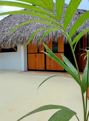 a house with a thatch roof and a palm tree at Mejor, Quédate Aquí in Las Galeras
