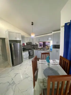 a kitchen with a table with a bird on it at Brisas del mar in San Felipe de Puerto Plata