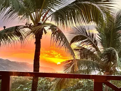 a palm tree with the sunset in the background at Private Rooftop Penthouse Near Coson Beach Jacuzzi and BBQ in Las Terrenas