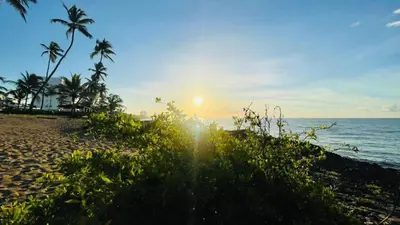 a sunset on a beach with palm trees and the ocean at vista paraiso del mar in Villas del Mar