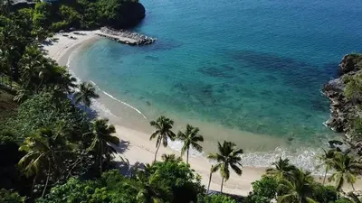 an aerial view of a beach with palm trees at Ballena Bay View in Punta Balandra