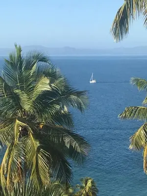 a sail boat in the ocean with a palm tree at Ballena Bay View in Punta Balandra