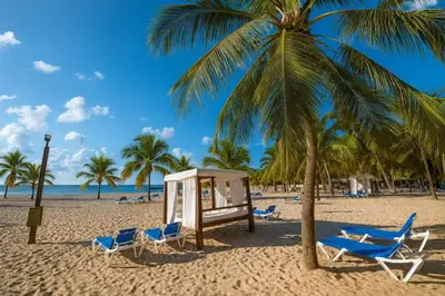 a palm tree and chairs on a beach at Stunning Beachfront 2BR Condo in Juan Dolio in Juan Dolio