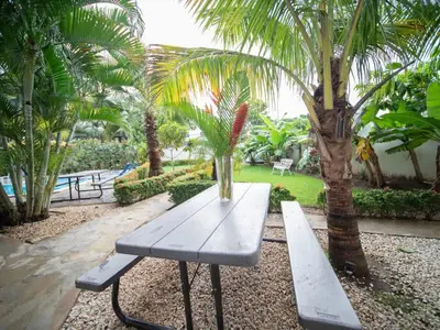 a park bench with a vase sitting on top of it at Affordable 2BR APT in Sosua Center in Sosúa