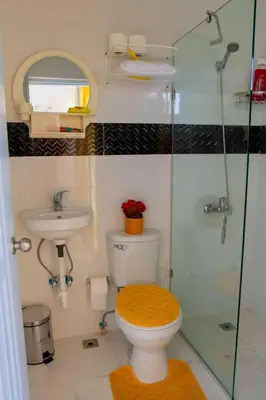 a bathroom with a toilet and a glass shower at Royal Terrace Queen 1 in San Felipe de Puerto Plata