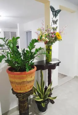 three plants in vases on a table in a room at Cozy Romance Apartment-Couples Only in Santiago de los Caballeros