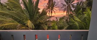 a mural of palm trees on top of a white fence at Coco house by Julio 2 in Nagua