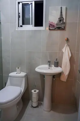 a bathroom with a toilet and a sink at Cozy Loft In The Heart of Santo Domingo Este in Juan López