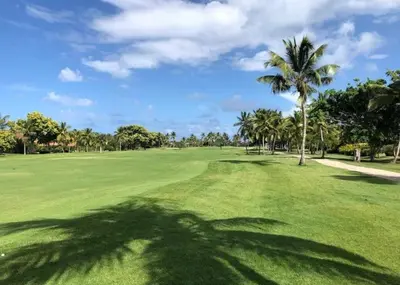 a shadow of a palm tree on a golf course at Big & classy condo at Cocotal Golf & Beach in Punta Cana