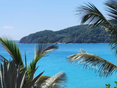 a view of the ocean from a palm tree at 2 Bdrm, 1 Bath, Wifi, Near River and Beach, 4R, Paraiso, Barahona in Paraíso