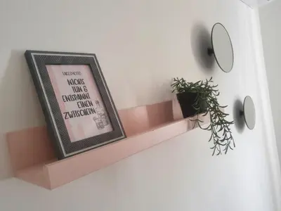 a shelf on a wall with a picture and a plant at Wohlfühloase in der Karibik in Punta Cana