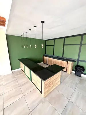a kitchen with green walls and a counter top at 1-Bedroom Apartment Balcony, Gym, Pool & BBQ in Santo Domingo