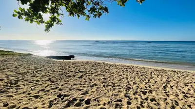 a dog laying on a sandy beach next to the ocean at beach apartment cafe del sol in La Puntica de Juan Dolio