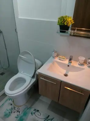 a bathroom with a toilet and a sink at Apartamento Alto del valle de 2 habitaciones in Santiago de los Caballeros