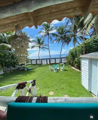 a view of a yard with palm trees and the ocean at El Mar Azul Franchecis hostal in Juan Dolio