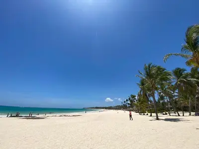 a group of people on a beach with palm trees at Cozy 3 Bedroom Apartment with Pool & Private Beach in Bávaro Punta Cana in Punta Cana
