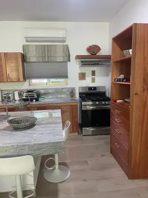 a kitchen with a counter top and a stove at Pro Cab Apartment - Washer - BBQ in Cabarete