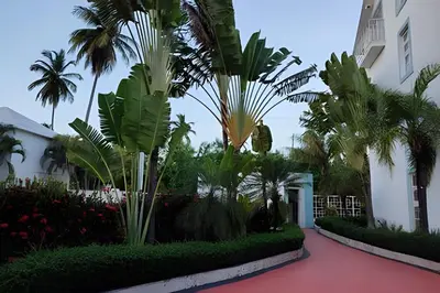 a courtyard with palm trees and a white building at Los Corales Moderno Apto: Piscina y Playa 10 min in Punta Cana