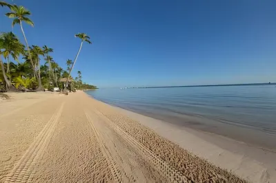 a sandy beach with palm trees and the ocean at Los Corales Moderno Apto: Piscina y Playa 10 min in Punta Cana