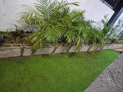a row of plants on a wall with grass at Villa Manuel Rodriguez