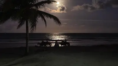 a table on the beach with a palm tree and the ocean at Cristamar in Cabarete