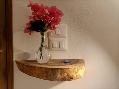 a vase with red flowers sitting on a wooden shelf at Apartment Mariquita in Las Terrenas