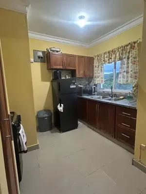 a kitchen with a black refrigerator and a sink at Garden view paradise La Vega in Concepción de La Vega