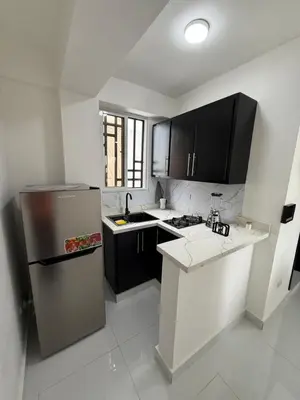a white kitchen with a refrigerator and a sink at Moon Apartamentos D2 in San Cristóbal