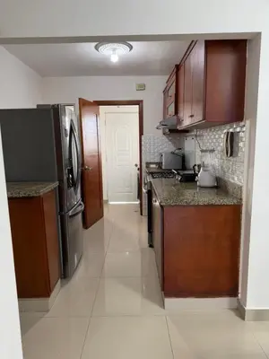 a kitchen with wooden cabinets and stainless steel appliances at Santo domingo Avenida España