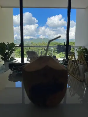 a bowl sitting on a table in front of a window at Mountain and pool modern apartment in Santiago de los Caballeros