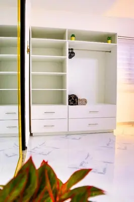 a closet with white shelves and a plant at Agapimou apartments H in Gaspar Hernández