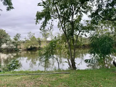 a tree sitting next to a body of water at Apartamento en livera RD in Santiago de los Caballeros