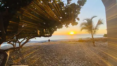 a beach with a palm tree and a sunset at Oceanfront villa with pool, Ocoa bay in Azua