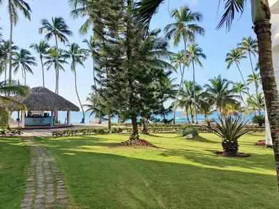 a path through a park with palm trees at Residencias Turísticas Espinosa in Villas del Mar