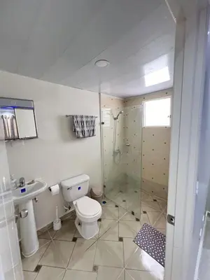 a bathroom with a shower and a toilet and a sink at Apartamento en bani in Baní