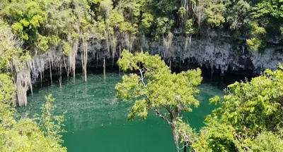 a tree in the middle of a body of water at Civil tower oceance in Santo Domingo