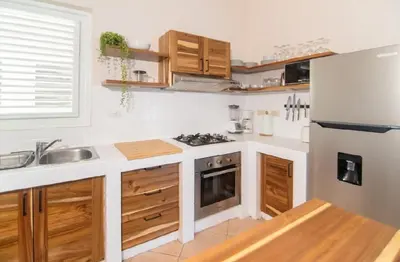 a kitchen with wooden cabinets and a white refrigerator at Cultrera 1 in Las Terrenas