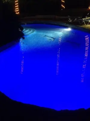 a blue pool with sharks in the water at night at Villa Dawn, Bahia de Arena in Cabarete