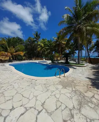 a swimming pool with palm trees in the background at Villa Cancanet in Nizao