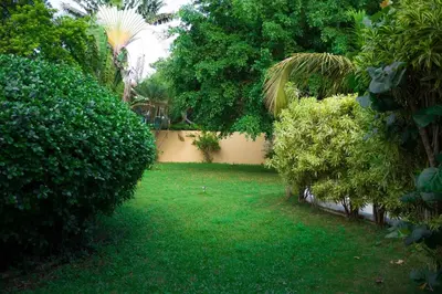 a yard with green grass and trees and a fence at Villa Cancanet in Nizao