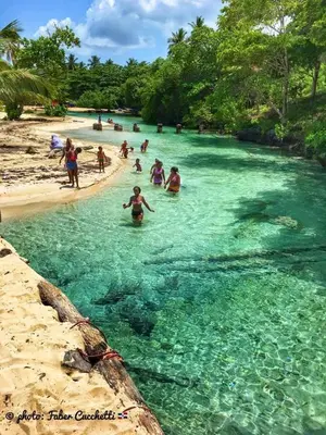 a group of people in the water at a beach at Comfortable stay for 4 people in Las Galeras