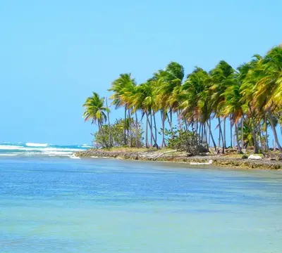 a group of palm trees on an island in the ocean at Comfortable stay for 4 people in Las Galeras