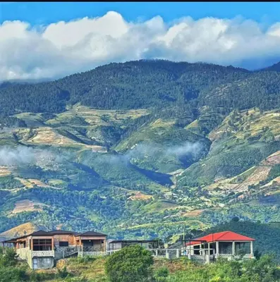 auliculiculiculiculiculiculiculiculiculiculiculiculiculiculic at Alto Nuevo