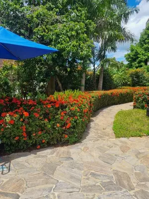 a stone walkway with a blue umbrella in front of flowers at Sunset Paradise in Las Terrenas