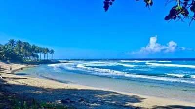 a beach with palm trees and the ocean at Luxury 2BR Villa - Beach Access and Elegant Design at Cabarete in Cabarete